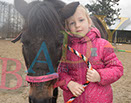 Badyhoeve is een terrein dat tot 3kinderen en hun pony's met de hond Djackson behoort.