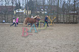 Badyhoeve is een terrein dat tot 3kinderen en hun pony's met de hond Djackson behoort.