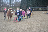Badyhoeve is een terrein dat tot 3kinderen en hun pony's met de hond Djackson behoort.