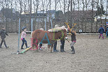 Badyhoeve is een terrein dat tot 3kinderen en hun pony's met de hond Djackson behoort.