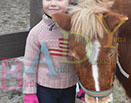 Badyhoeve is een terrein dat tot 3kinderen en hun pony's met de hond Djackson behoort.