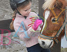 Badyhoeve is een terrein dat tot 3kinderen en hun pony's met de hond Djackson behoort.