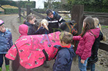 Badyhoeve is een terrein dat tot 3kinderen en hun pony's met de hond Djackson behoort.