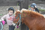 Badyhoeve is een terrein dat tot 3kinderen en hun pony's met de hond Djackson behoort.