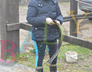 Badyhoeve is een terrein dat tot 3kinderen en hun pony's met de hond Djackson behoort.