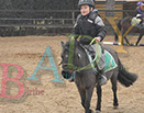 Badyhoeve is een terrein dat tot 3kinderen en hun pony's met de hond Djackson behoort.