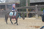 Badyhoeve is een terrein dat tot 3kinderen en hun pony's met de hond Djackson behoort.