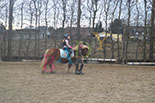 Badyhoeve is een terrein dat tot 3kinderen en hun pony's met de hond Djackson behoort.