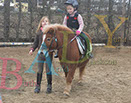 Badyhoeve is een terrein dat tot 3kinderen en hun pony's met de hond Djackson behoort.