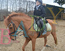 Badyhoeve is een terrein dat tot 3kinderen en hun pony's met de hond Djackson behoort.