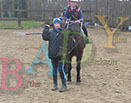 Badyhoeve is een terrein dat tot 3kinderen en hun pony's met de hond Djackson behoort.