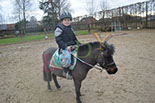 Badyhoeve is een terrein dat tot 3kinderen en hun pony's met de hond Djackson behoort.