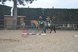 Badyhoeve is een terrein dat tot 3kinderen en hun pony's met de hond Djackson behoort.