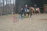 Badyhoeve is een terrein dat tot 3kinderen en hun pony's met de hond Djackson behoort.