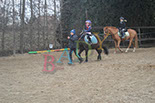 Badyhoeve is een terrein dat tot 3kinderen en hun pony's met de hond Djackson behoort.