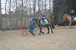 Badyhoeve is een terrein dat tot 3kinderen en hun pony's met de hond Djackson behoort.