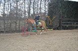 Badyhoeve is een terrein dat tot 3kinderen en hun pony's met de hond Djackson behoort.