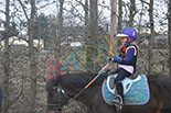 Badyhoeve is een terrein dat tot 3kinderen en hun pony's met de hond Djackson behoort.