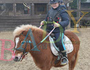 Badyhoeve is een terrein dat tot 3kinderen en hun pony's met de hond Djackson behoort.