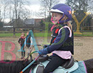 Badyhoeve is een terrein dat tot 3kinderen en hun pony's met de hond Djackson behoort.