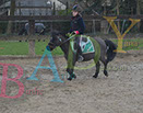 Badyhoeve is een terrein dat tot 3kinderen en hun pony's met de hond Djackson behoort.