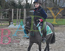 Badyhoeve is een terrein dat tot 3kinderen en hun pony's met de hond Djackson behoort.