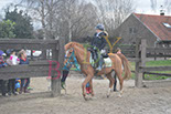 Badyhoeve is een terrein dat tot 3kinderen en hun pony's met de hond Djackson behoort.