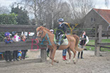 Badyhoeve is een terrein dat tot 3kinderen en hun pony's met de hond Djackson behoort.