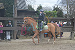 Badyhoeve is een terrein dat tot 3kinderen en hun pony's met de hond Djackson behoort.