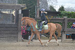 Badyhoeve is een terrein dat tot 3kinderen en hun pony's met de hond Djackson behoort.
