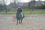 Badyhoeve is een terrein dat tot 3kinderen en hun pony's met de hond Djackson behoort.