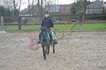 Badyhoeve is een terrein dat tot 3kinderen en hun pony's met de hond Djackson behoort.