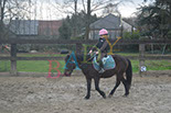 Badyhoeve is een terrein dat tot 3kinderen en hun pony's met de hond Djackson behoort.