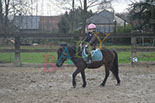 Badyhoeve is een terrein dat tot 3kinderen en hun pony's met de hond Djackson behoort.