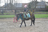 Badyhoeve is een terrein dat tot 3kinderen en hun pony's met de hond Djackson behoort.