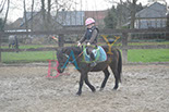 Badyhoeve is een terrein dat tot 3kinderen en hun pony's met de hond Djackson behoort.