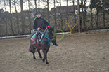 Badyhoeve is een terrein dat tot 3kinderen en hun pony's met de hond Djackson behoort.