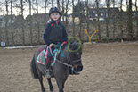 Badyhoeve is een terrein dat tot 3kinderen en hun pony's met de hond Djackson behoort.