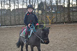 Badyhoeve is een terrein dat tot 3kinderen en hun pony's met de hond Djackson behoort.