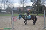Badyhoeve is een terrein dat tot 3kinderen en hun pony's met de hond Djackson behoort.