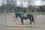 Badyhoeve is een terrein dat tot 3kinderen en hun pony's met de hond Djackson behoort.