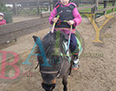 Badyhoeve is een terrein dat tot 3kinderen en hun pony's met de hond Djackson behoort.