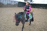 Badyhoeve is een terrein dat tot 3kinderen en hun pony's met de hond Djackson behoort.