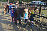 Badyhoeve is een terrein dat tot 3kinderen en hun pony's met de hond Djackson behoort.