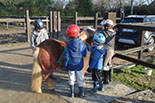 Badyhoeve is een terrein dat tot 3kinderen en hun pony's met de hond Djackson behoort.