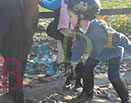 Badyhoeve is een terrein dat tot 3kinderen en hun pony's met de hond Djackson behoort.