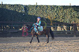 Badyhoeve is een terrein dat tot 3kinderen en hun pony's met de hond Djackson behoort.