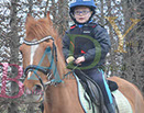 Badyhoeve is een terrein dat tot 3kinderen en hun pony's met de hond Djackson behoort.
