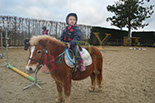 Badyhoeve is een terrein dat tot 3kinderen en hun pony's met de hond Djackson behoort.