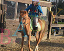 Badyhoeve is een terrein dat tot 3kinderen en hun pony's met de hond Djackson behoort.